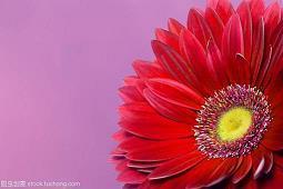 每日心语正能量晚安 朋友圈晚安的唯美句子(精选69句)