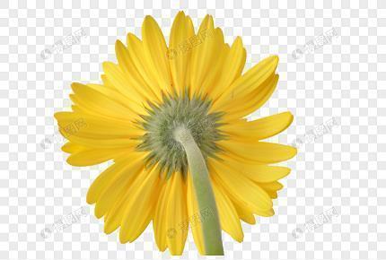 赞美读书的句子56句