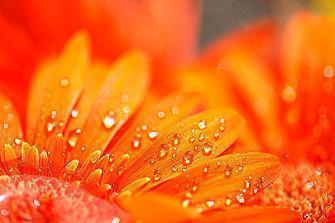 形容开心时间过得快的句子(精选31句)