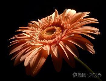 环境描写心情的句子开心 环境衬托好心情的句子