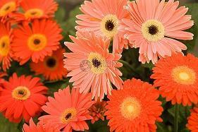 2021世界读书日好词好句摘抄推荐34句