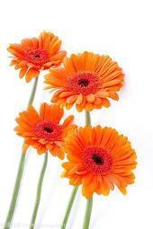 睡吧明天又是新的开始！ 睡前朋友圈说说收录24句