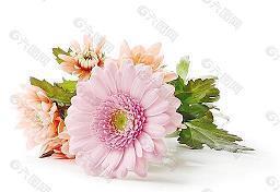 睡前发个朋友圈晚安语 晚安语录正能量励志推荐80句