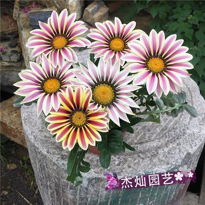 心情不好的心烦句子