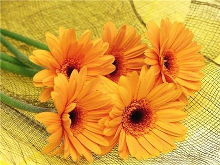 鼓励他人的名言名句合集39句