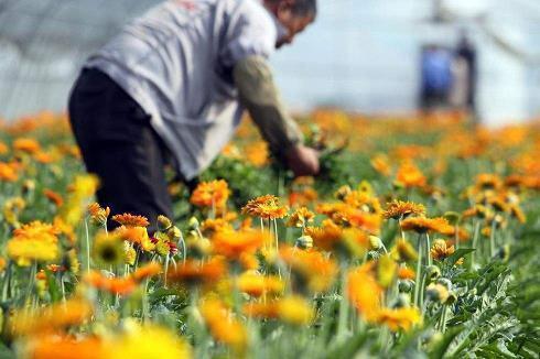 教师节诗词祝福语2021最新(精选100句)