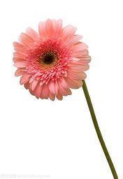 晚安温馨句子 2021晚安心语正能量汇编63句