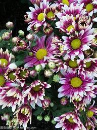 超励志的短语句子(99句)