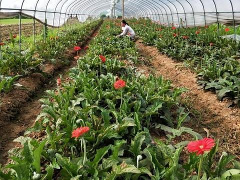 秋天的句子短句情话文案发朋友圈(精选47句)