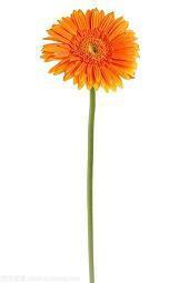 形容爱心的句子24句