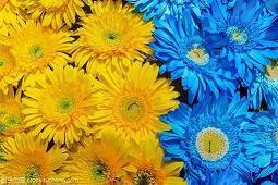 晒两个人幸福照片句子 晒情侣照片配的说说