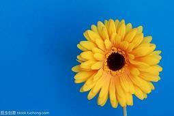 生日开心的句子