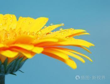 生气心烦的句子