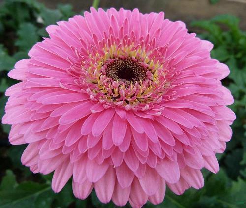 赞美一桌好菜的句子100句