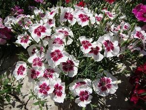 晚安简单而走心的说说 高情商说晚安的短句精选73句