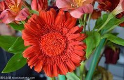 表示心凉的句子 心凉了，再怎么暖都不会热