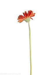 晚安青春励志语录汇总37句