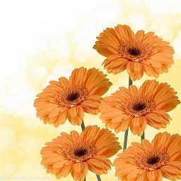 秋季吃冰糖雪梨的说说 第一次做冰糖雪梨怎么发朋友圈集锦20句