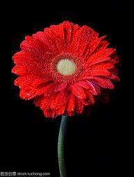 最暖心的情话给女朋友