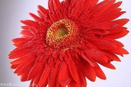 简单的句子74句