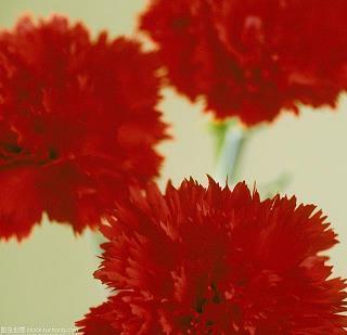 约会开心的句子