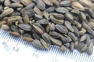 表示不想说话的句子 沉默不想说话的句子(精选45句)