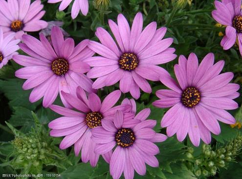 五月最后一天发朋友圈说说,五月最后一天的优美句子汇总84句