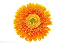 很忙但是开心的句子