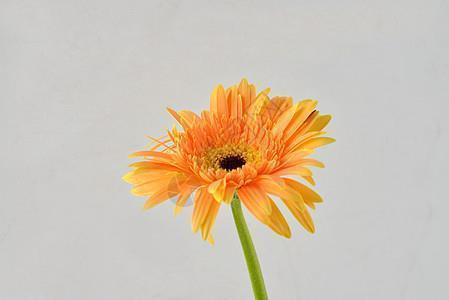 励志努力句子简短 努力坚持的简短句子合集84句