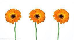 早上好的句子2021最新锦集19句