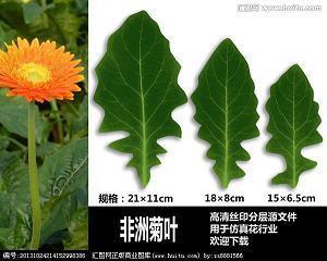 生活很累压抑的句子