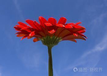 早安问候语,早安图片带字温馨图片 每日晨语问候早安推荐60句