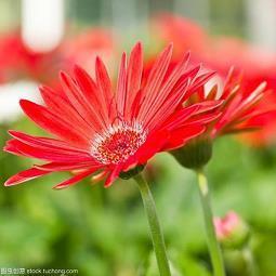 第一次表白该怎么说 男生第一次表白的话(精选74句)