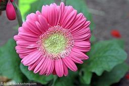 一个人独自奋斗的句子75句