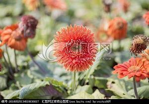 描写秋末冬初的句子短句唯美(精选42句)