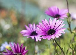 积极工作正能量的句子 工作励志的句子正能量