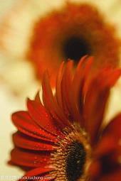 祝好朋友十八岁生日快乐的文案(精选89句)