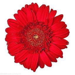 表达秋天的唯美句子(精选29句)