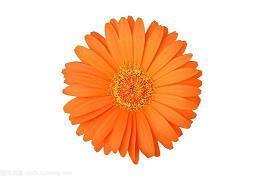 情感语录与感悟简短正能量一句话