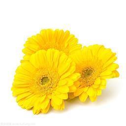 八月你好的唯美句子精选(精选74句)