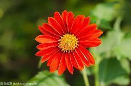 描写重阳节的诗句大全(精选97句)