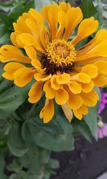 情人节伤感说说18句