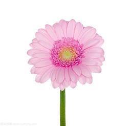 描写人物语言的句子大全10字50字短 描写人物语言的段落语句