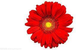 早晨问候语最美简短 早上好问候语简单短句(精选62句)