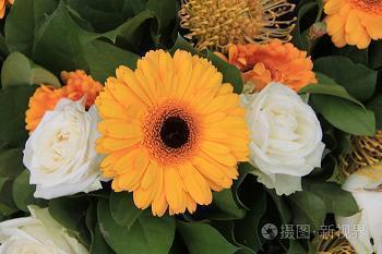 总结上半年展望下半年的经典句子精选81句