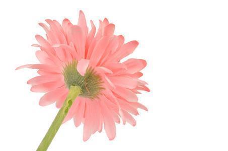 最经典的一句话 最经典的说说句子26句