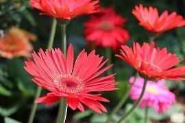 让你瞬间开心的皮句子