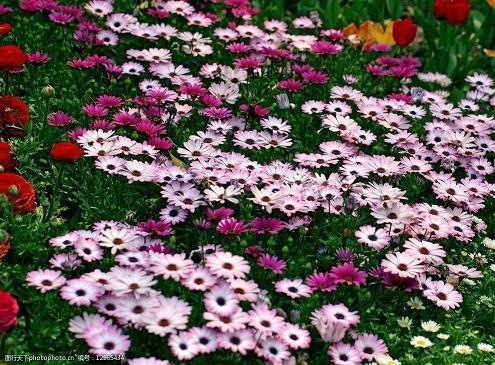 赞美物业人的语句