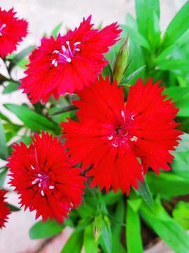 朋友聚会玩开心的句子