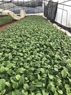 早安让人看了舒服的句子最新(精选101句)